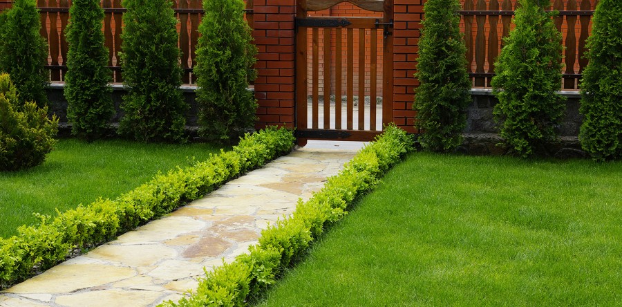 Sed blandit massa vel