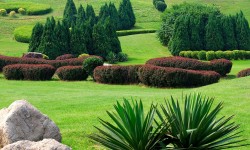 Lorem ipsum dolor sit