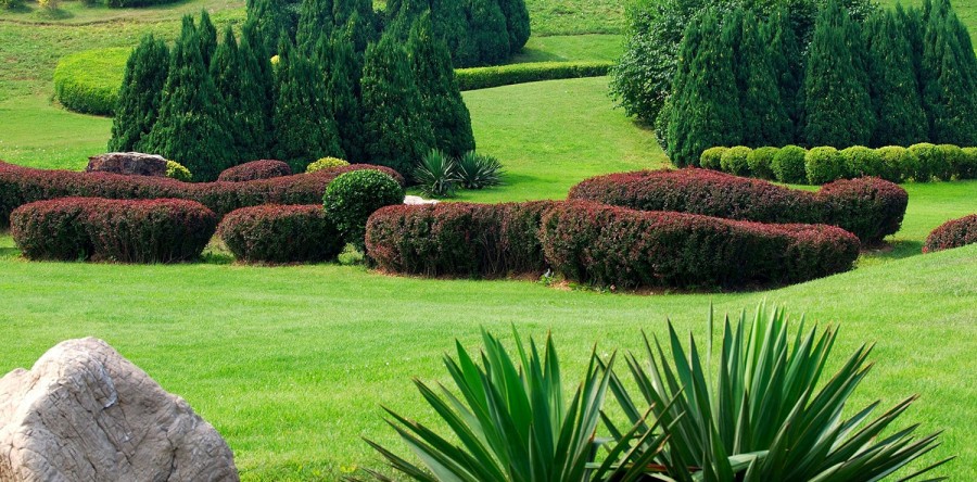 Lorem ipsum dolor sit