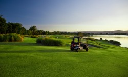 Aliquam erat volutpat