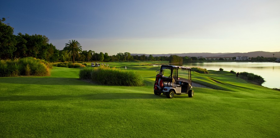 Aliquam erat volutpat